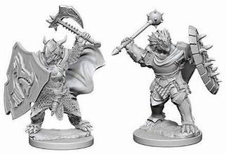 Dragonborn Male Paladin (W4)